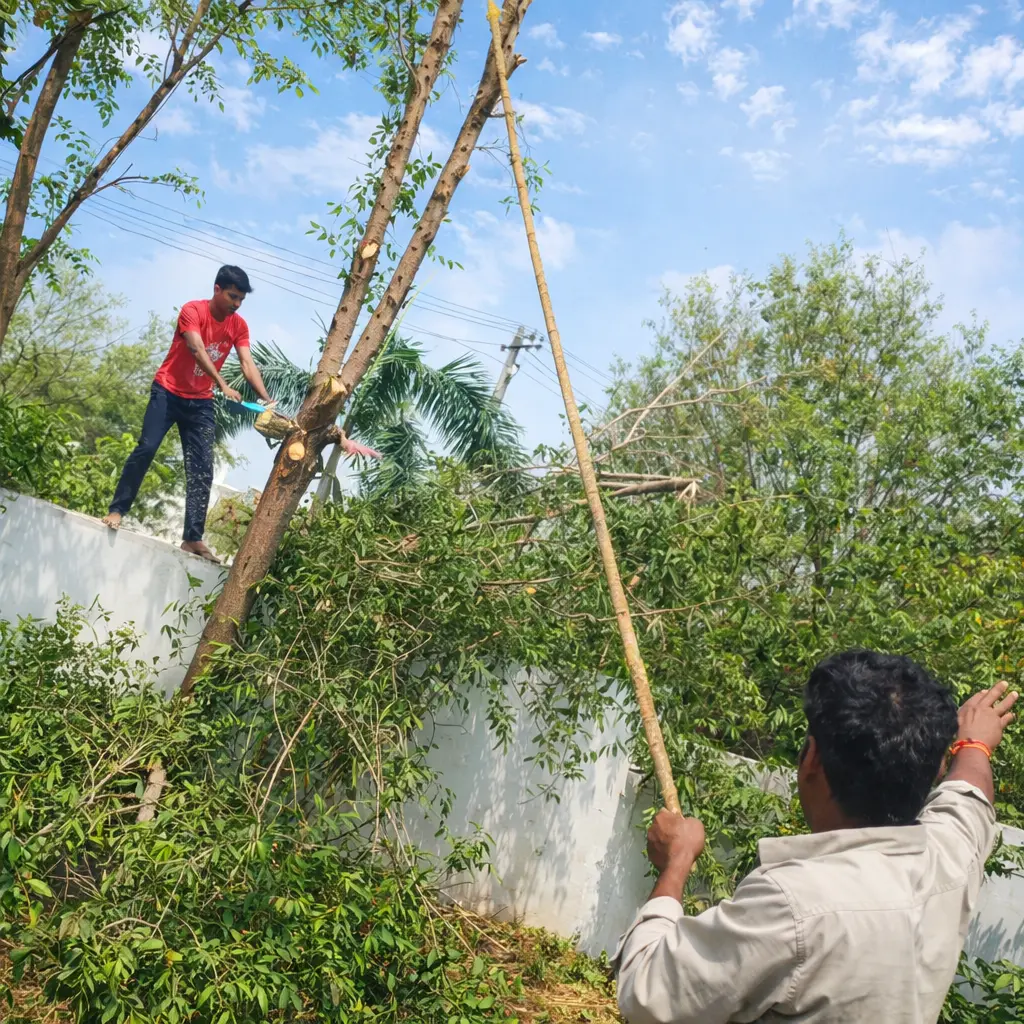 Professional Tree Cutting Service in Hyderabad