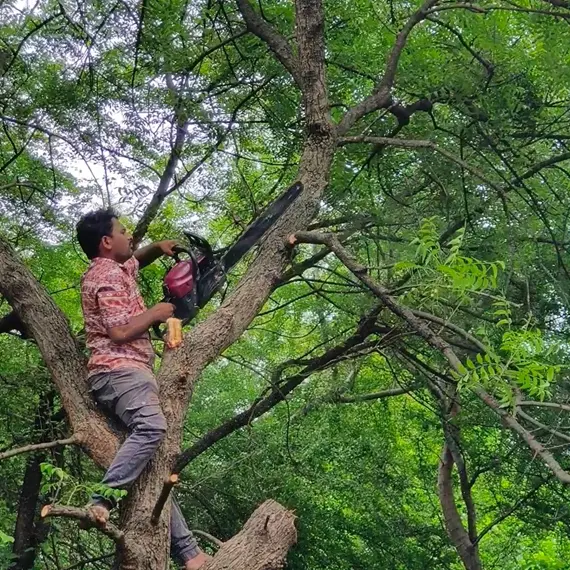 About NHN Tree Custting Service