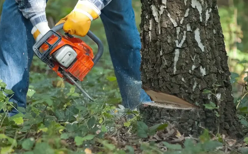 About NHN Tree Custting Service