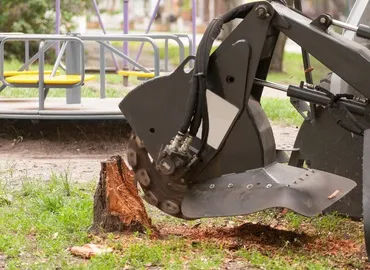 Stump Grinding