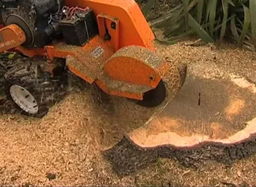 Stump Grinding