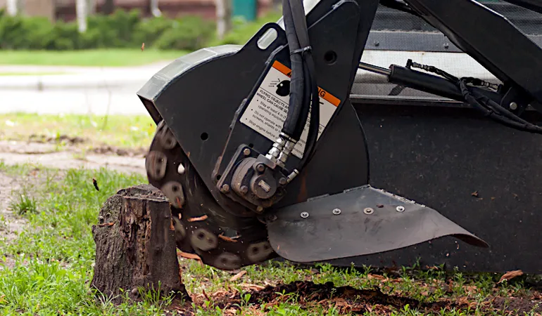 Stump Grinding