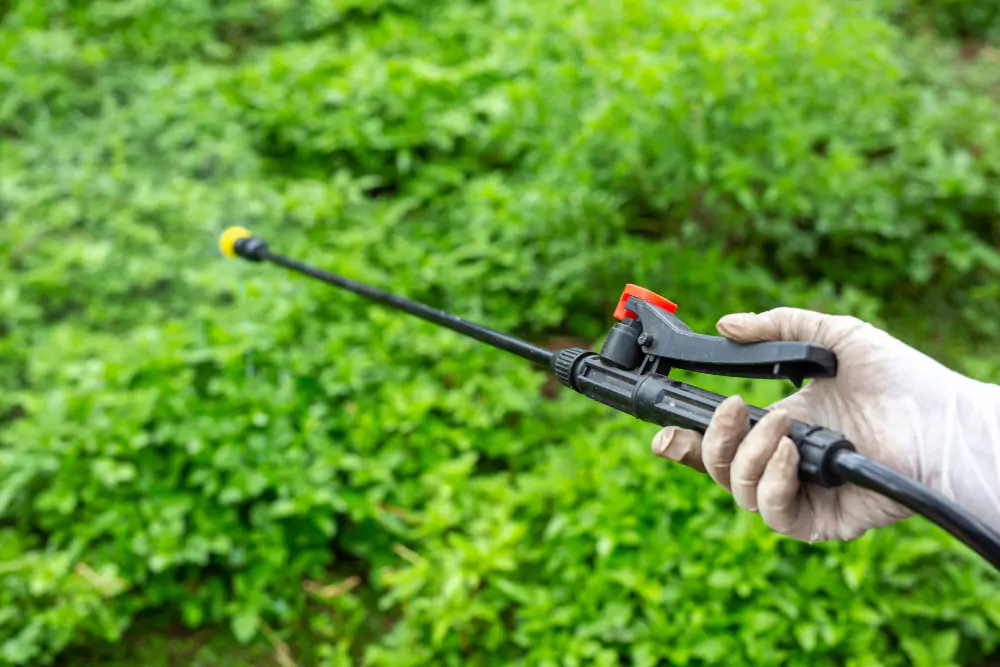 Tree Pest Control Services in Hyderabad
